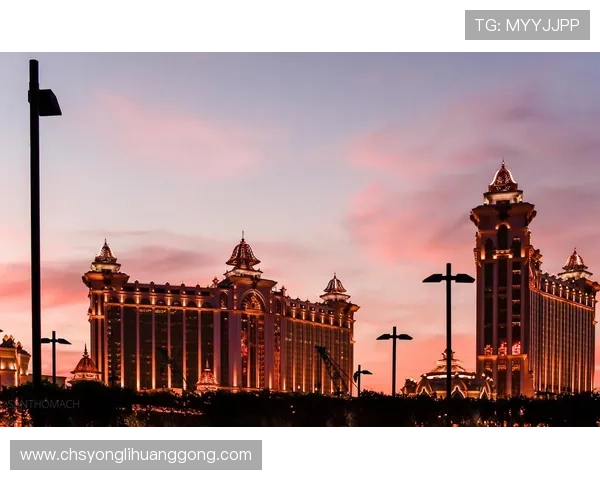 澳门东方集团在澳门经济中的核心作用及其对区域发展的推动力