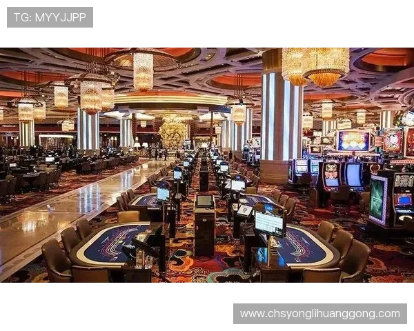 澳门赌厅有哪些值得玩家关注的顶级娱乐场所推荐